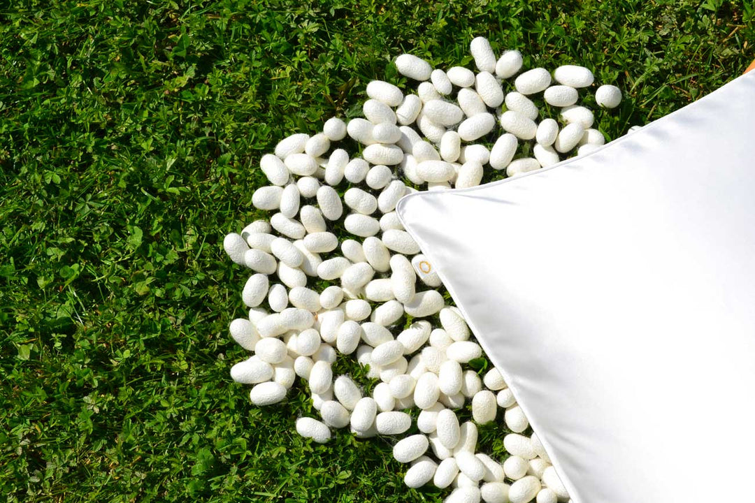 SET 2 FEDERE IN RASO DI SETA - MODELLO BORDINO COLORATO