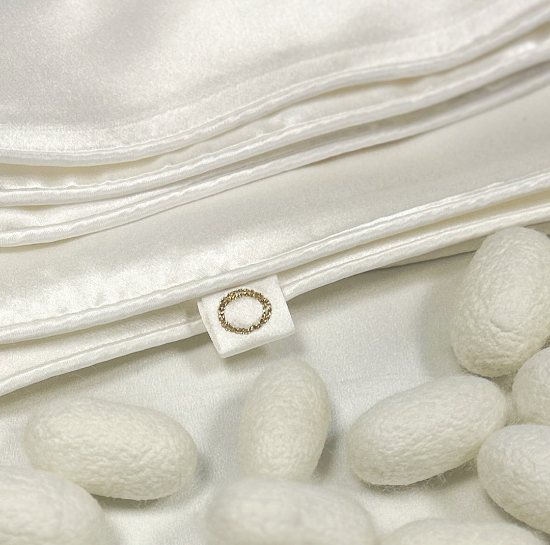 SET 2 FEDERE IN RASO DI SETA - MODELLO BORDINO COLORATO